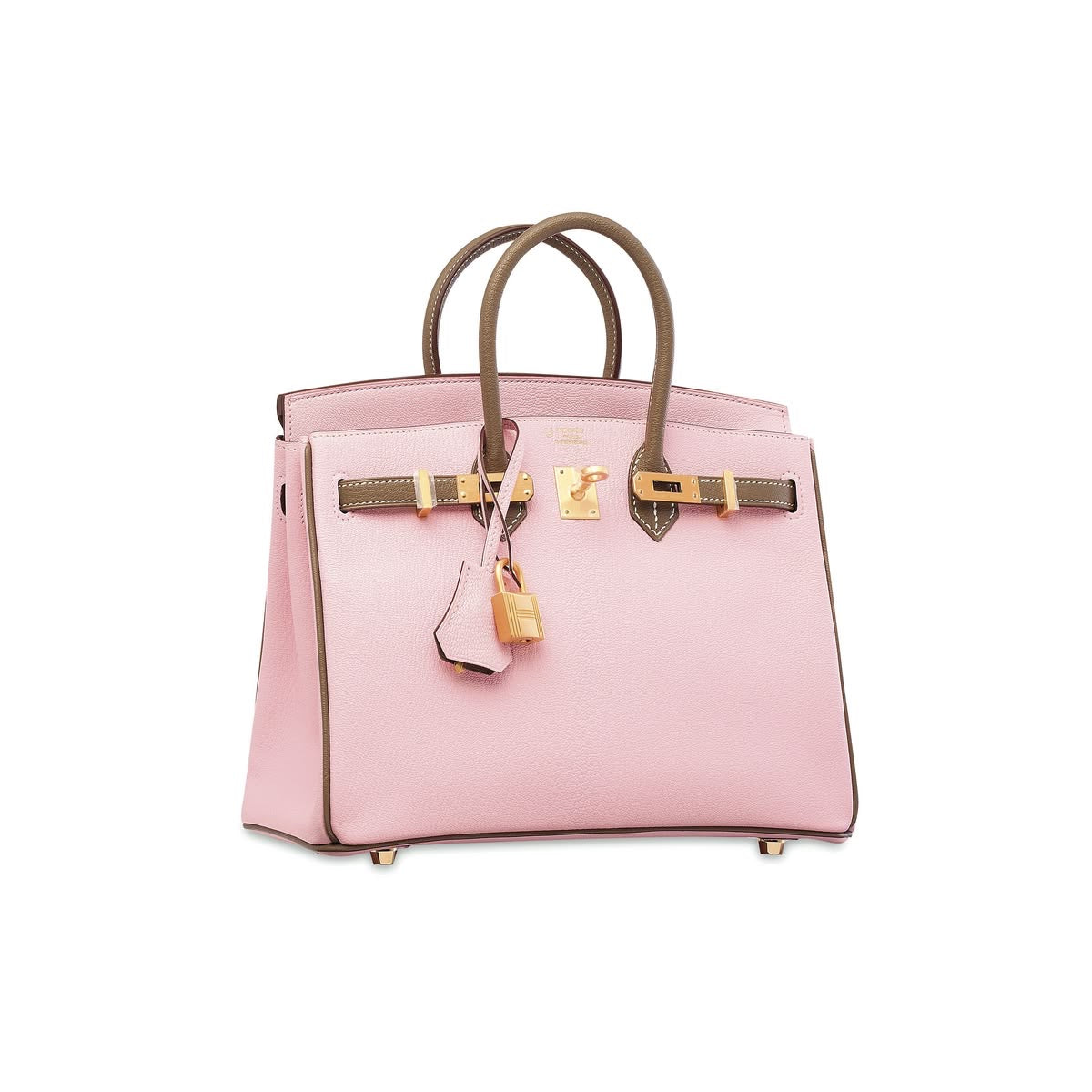LUXURY PINK BROWN BAG